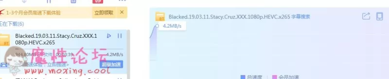 Blacked.19.03.11.Stacy.Cruz.jpg